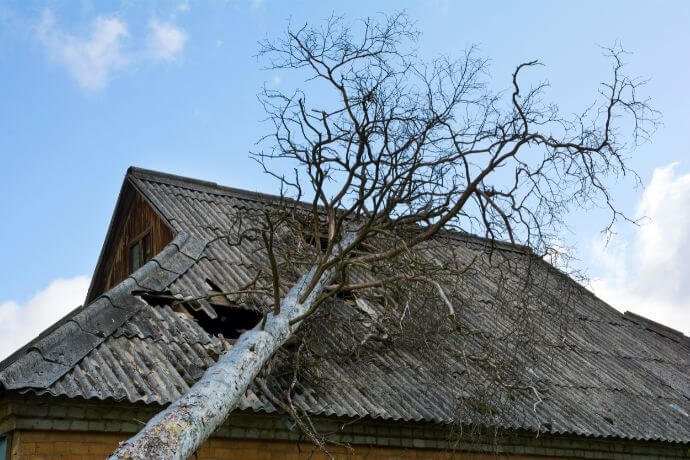 Roof Damage By Fallen Tree